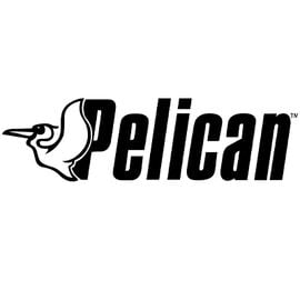 Pelican