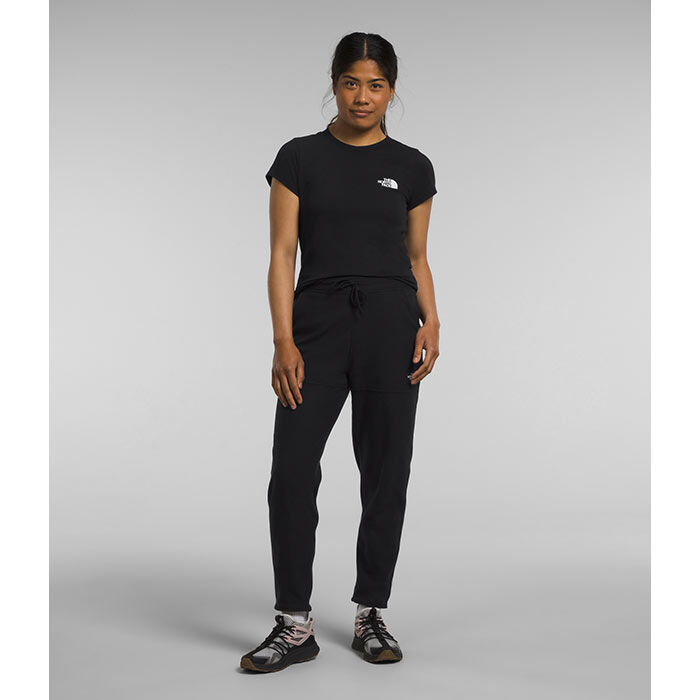 Women's Alpine Polartec® 100 Pant, The North Face