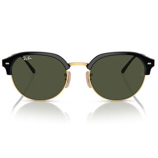 RB4429 Sunglasses