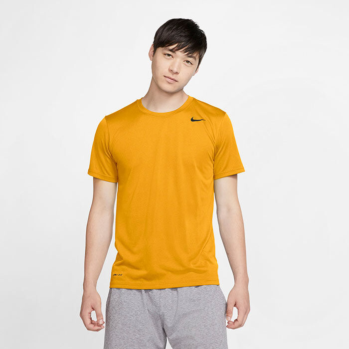 Men's Dri-FIT® Legend T-Shirt